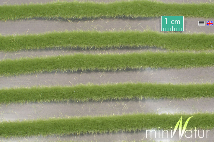 Mininatur Grassstreifen kurz Frühling